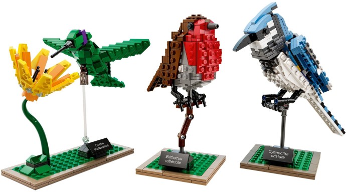 LEGO® Birds 21301