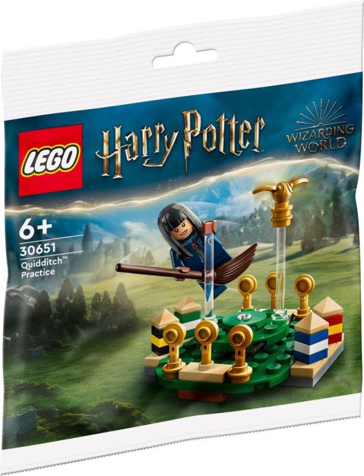 LEGO® Quidditch Practice 30651