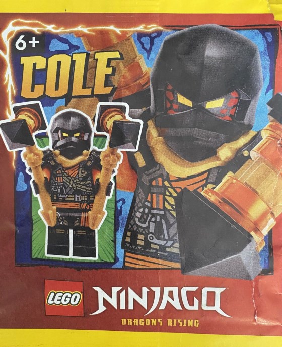 LEGO® Cole 892408
